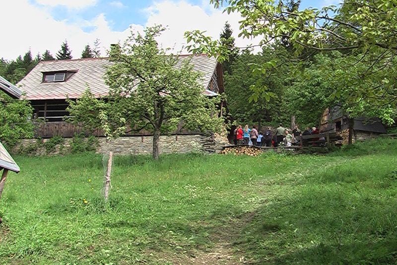 18 - Lesani pře Polárkou