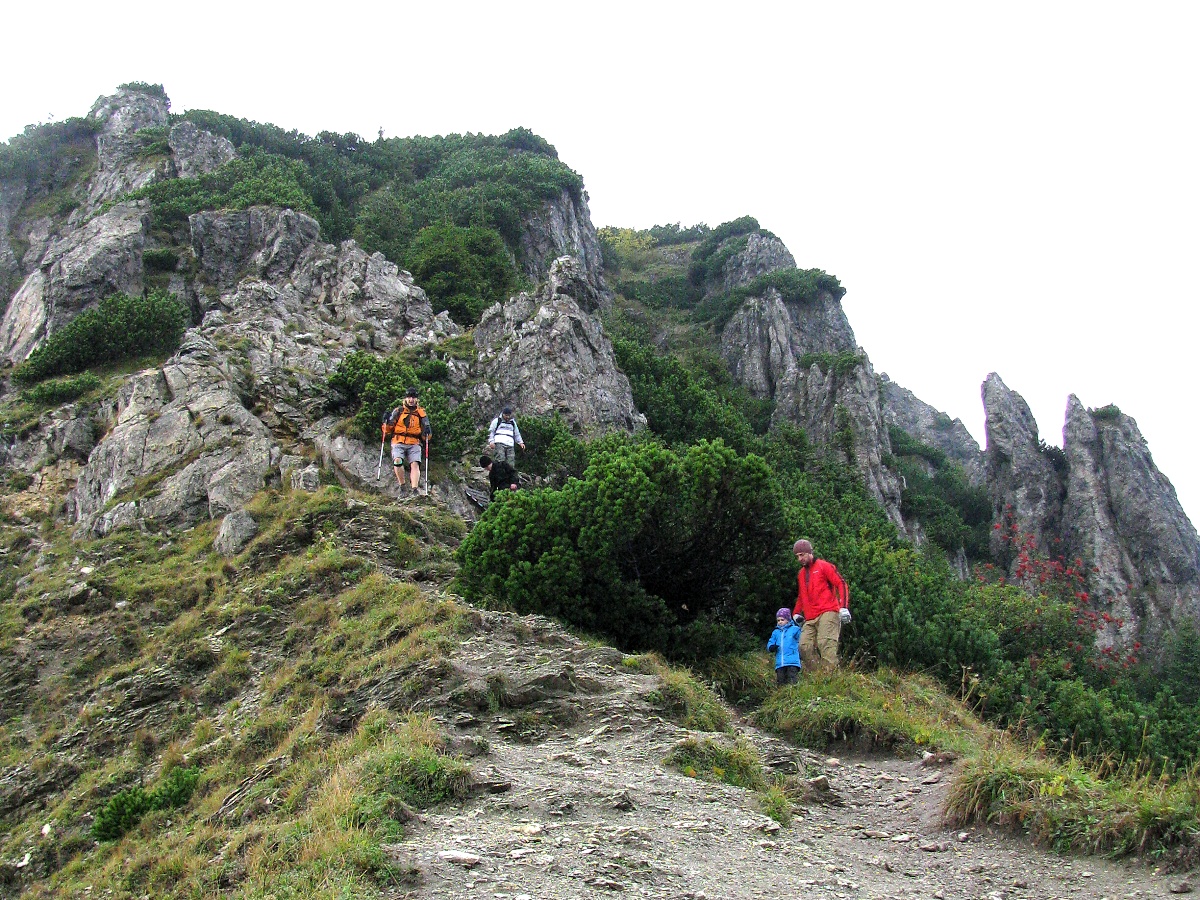 68 - Antek, Sněžka, Patka, Júlinka a Rybařík