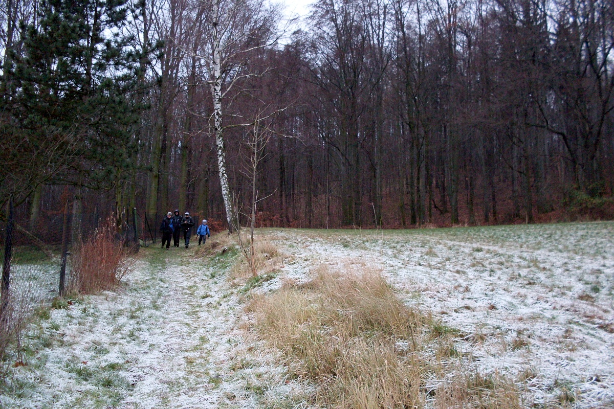 30 - večerní mrazík pod Padařovem