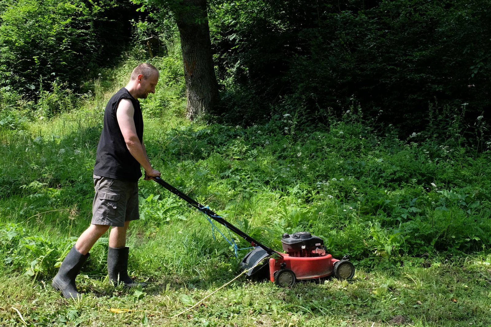 Napsal bych dementní zahradník, ale Kassa by se mohl urazit.