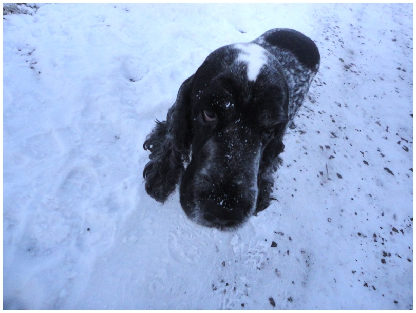 49 - Sir našel, kde budem házet granátem do DOD