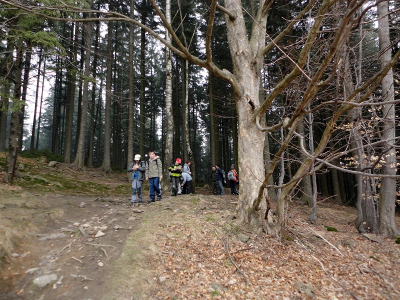 03 - na prahu "Klenové louky"