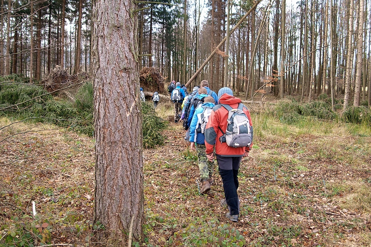 08 - tam jsou takové vývraty jak v „Mrazíkovi“
