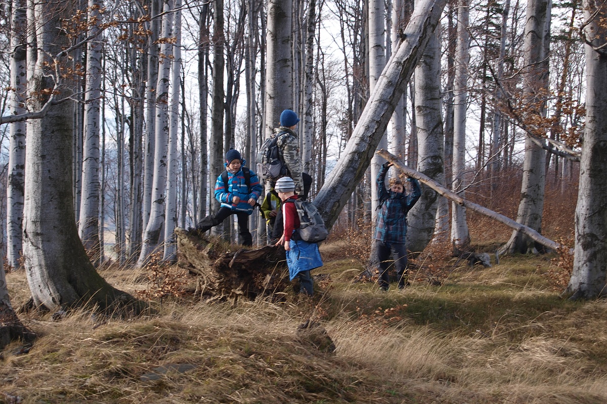 38 - Aidi našel prut na párek