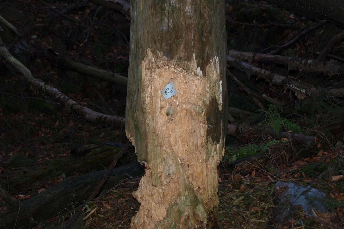 47 - nádobí - k tomu netřeba více dodávat