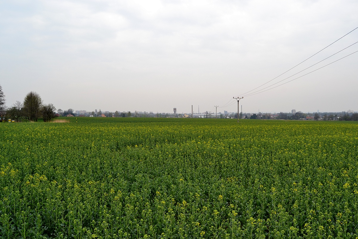 03 - ráno je pošmourno a chladno