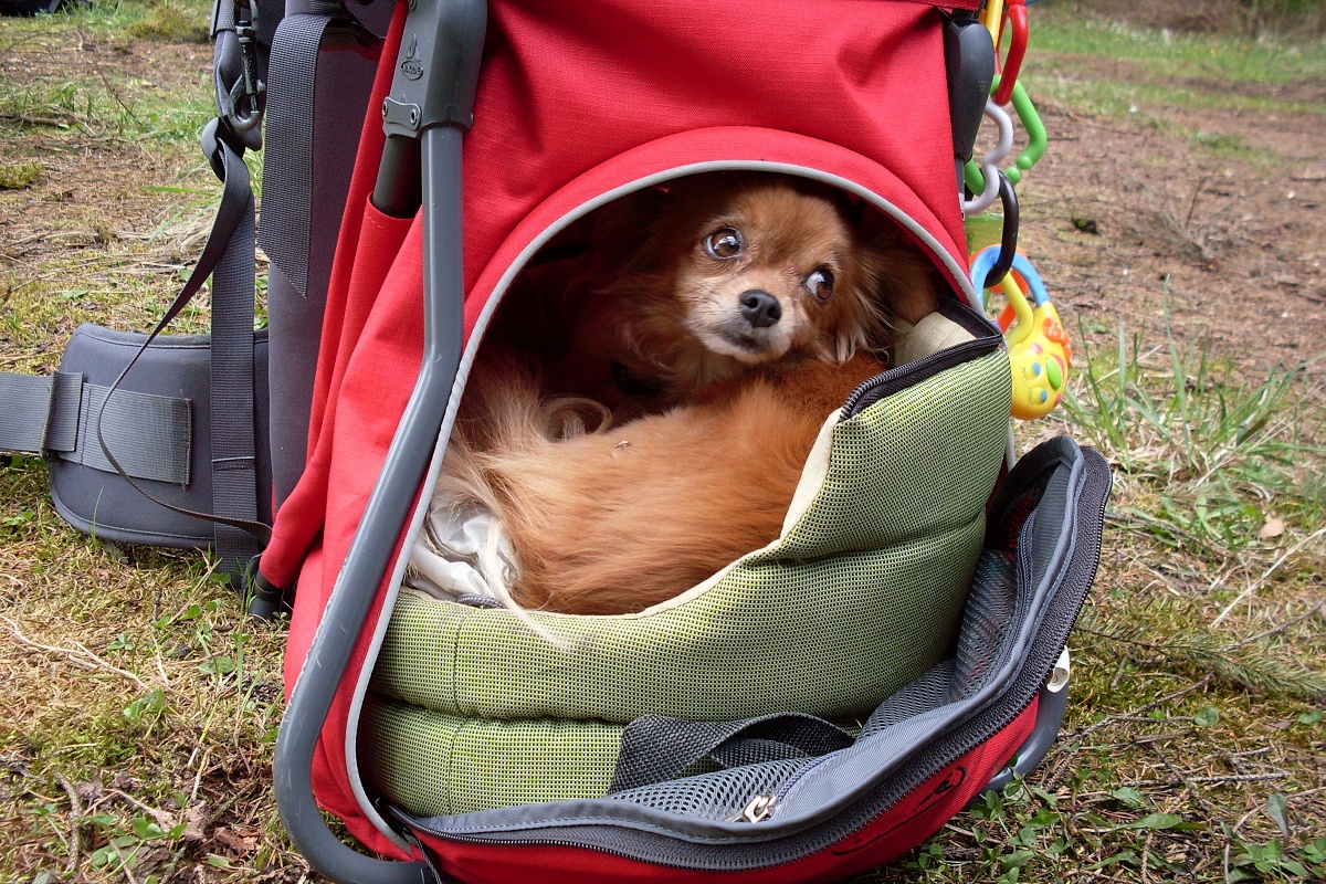 37 - Grizzlyho to ovšem evidentně nezajímalo!