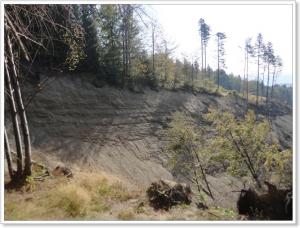 Bude přehnané, když napíšu, že milion krychlových metrů zeminy se po dlouhotrvajících děštích, utrhlo?