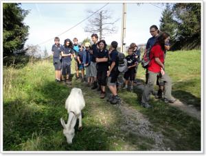 Zátiší s kozou. Bacha, jedna prchá v prvé části snímku.