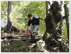 Evans a Stromovous (fagus sylvatica)